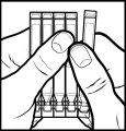 Two hands holding and separating four rectangular single-dose sachets arranged vertically in a black-and-white line drawing