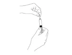 Disegno a linee nere su sfondo bianco che mostra due mani che manipolano una siringa per preparare l'iniezione