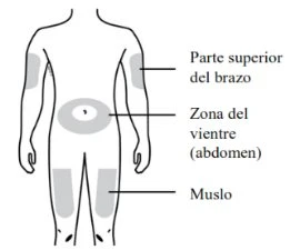 Schema del corpo umano che indica le zone di iniezione: parte superiore del braccio, zona dell'addome e muslo