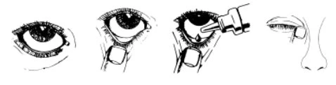 Sequential drawing showing the