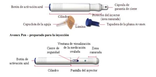 Diagramma tecnico di un iniettore Avonex con etichette che indicano pulsante blu, cilindro, capsula, protezione, ago e finestra di visualizzazione