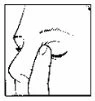 Black and white drawing showing a finger gently pressing the side of the nose and the area beneath it