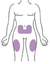 Disegno schematico di un busto umano con aree viola evidenziate sull'addome e sulle cosce per indicare i siti di applicazione del farmaco