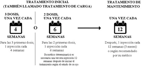 Medical schematic with calendar icons illustrating initial treatment doses every 4 or 6 weeks and maintenance every 12 weeks
