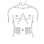 Schematic drawing of the human torso with small squares indicating the areas of the