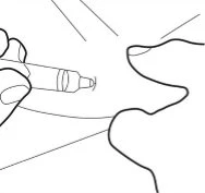 Black line drawing showing a hand holding an injection pen bringing it close to the skin of the abdomen or thigh