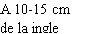 Black text on white background reading '10-15 cm from the groin'