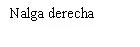 Black text on white background reading 'Right buttock' in Spanish