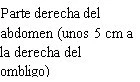 Spanish text on white background indicating the right side of the body