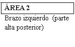 Text in a box reading 'AREA 2' and below 'Left arm (upper posterior part)' in Spanish