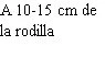 Black text on white background reading '10-15 cm from the knee'
