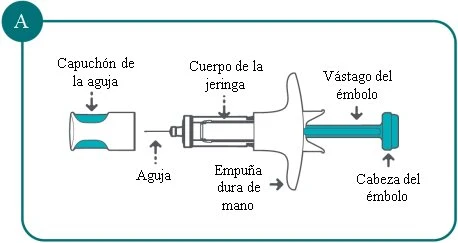 Diagramma di una siringa con etichette in spagnolo che indicano cappuccio dell'ago, ago, corpo della siringa, impugnatura e stantuffo con testa