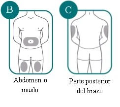 Diagrammi medici che mostrano le zone di iniezione: addome e coscia per la figura B, parte posteriore del braccio per la figura C
