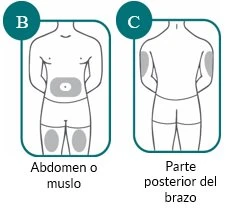 Diagrammi schematici di un corpo umano che indicano le zone di iniezione: addome o muscolo e parte posteriore del braccio con aree grigie evidenziate