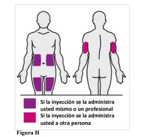 Diagramma di due figure umane che indicano le zone di iniezione sull'addome, cosce e braccia con colori viola e fucsia per l'automedicazione o terzi
