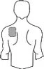 Disegno stilizzato del busto di una persona con un cerchio grigio che indica la posizione di applicazione sulla parte superiore della spalla destra