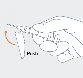 Disegno tecnico a linee tratteggiate che mostra una mano che tiene una penna iniettiva per somministrare un farmaco con una freccia curva arancione