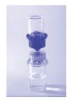 A transparent glass vial with a blue rubber stopper and metal seal positioned vertically on a light, uniform background