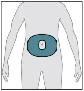 Stylized diagram of a human torso with a