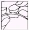 Black and white schematic drawing showing overlapping oval and circular shapes with marked outline lines