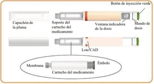Diagramma di una penna iniettiva con parti etichettate: cappuccio, supporto cartuccia, finestra dose, comando dose, lotto, membrana ed embolo