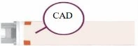 Diagramma medico con una linea orizzontale rosa e un cerchio con la scritta CAD collegato tramite una linea sottile