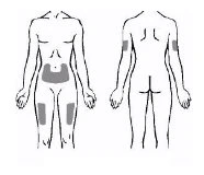 Diagram of a human body showing gray areas on the abdomen, thighs, and arms to indicate drug administration sites