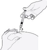 A hand holding a syringe with the needle pointing toward the skin of the buttock while
