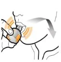 Disegno schematico di una mano che tiene un dispositivo medico vicino alla bocca con frecce e linee arancioni che indicano il movimento verso il basso