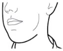 Disegno lineare del profilo di un volto umano che mostra il naso, le labbra, l'orecchio e la linea del collo e della mascella