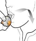 Disegno schematico di una persona che inserisce una capsula bicolore nella bocca con una freccia che indica il movimento verso la gola
