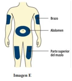 Diagramma del corpo umano che indica le zone di iniezione su braccio, addome e parte superiore della coscia con etichette testuali in spagnolo