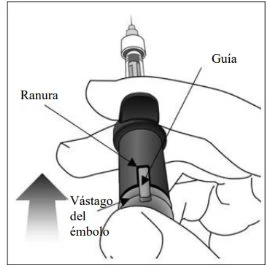 Illustrazione tecnica di una mano che impugna una siringa con indicazioni su ranura, guía e vástago del émbolo