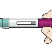 A hand holding horizontally a medical injection pen with a white body, a purple upper section, and a transparent viewing window