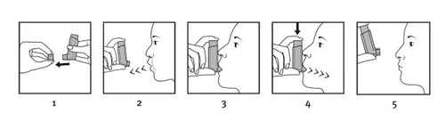 Sequenza di cinque illustrazioni che mostrano come assemblare l'inalatore, posizionarlo vicino alla bocca e inalare il farmaco con un movimento deciso