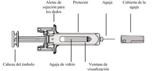 Diagramma tecnico di una siringa con etichette che indicano testa dell'embolo, alette per le dita, ago di vetro, finestra di visualizzazione e cappuccio