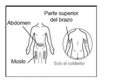Schema medico con figure umane che indicano le zone di iniezione su addome, muscolo della coscia e parte superiore del braccio per il caregiver