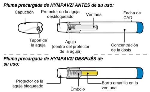 Diagramma di una penna precaricata Hympavzi prima e dopo l'iniezione