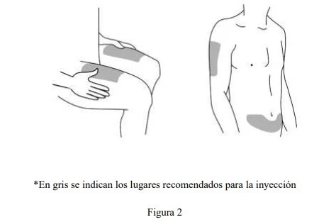 Diagram showing two human figures with gray areas indicating recommended injection sites on the thigh, arm, and