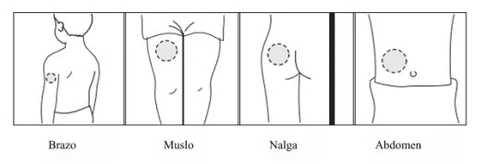 Four line diagrams showing injection sites on the arm, thigh muscle, gluteal area, and abdomen, with dashed circles indicating the injection zones