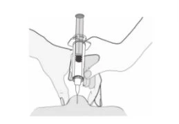Two hands holding a pre-filled syringe to inject the medication through the skin of the abdominal area or thigh