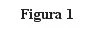 Black text on white background stating Figure 1 in serif font