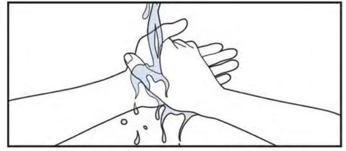 Line drawing of two hands being washed under a stream of water