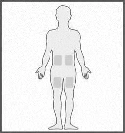 Stylized silhouette of a standing human body with four gray rectangular areas highlighted on the
