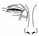 Black and white line drawing showing a closed eye with thick eyelashes and the upper part of the nose, with a finger touching the eyelid