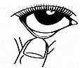 Black and white drawing of an open eye with long eyelashes above a finger touching the lower part of the lower eyelid