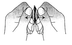 Disegno schematico in bianco e nero di un paio di mani che tengono e aprono una fiala di medicinale con frecce che indicano il movimento laterale