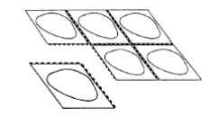 Disegno schematico in bianco e nero di cinque blister rettangolari contenenti pillole ovali disposti su due file distinte