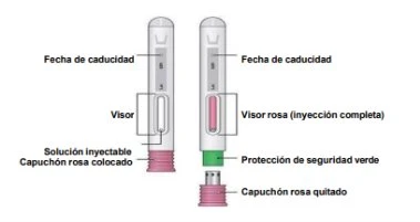 Diagramma di due penne iniettrici con etichette in spagnolo che indicano data di scadenza, mirino, soluzione iniettabile, cappuccio rosa e protezione verde