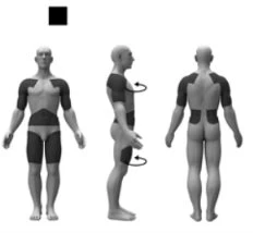 Three stylized figures of a man show front, side, and back views of the body areas for